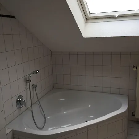 Altes Stover